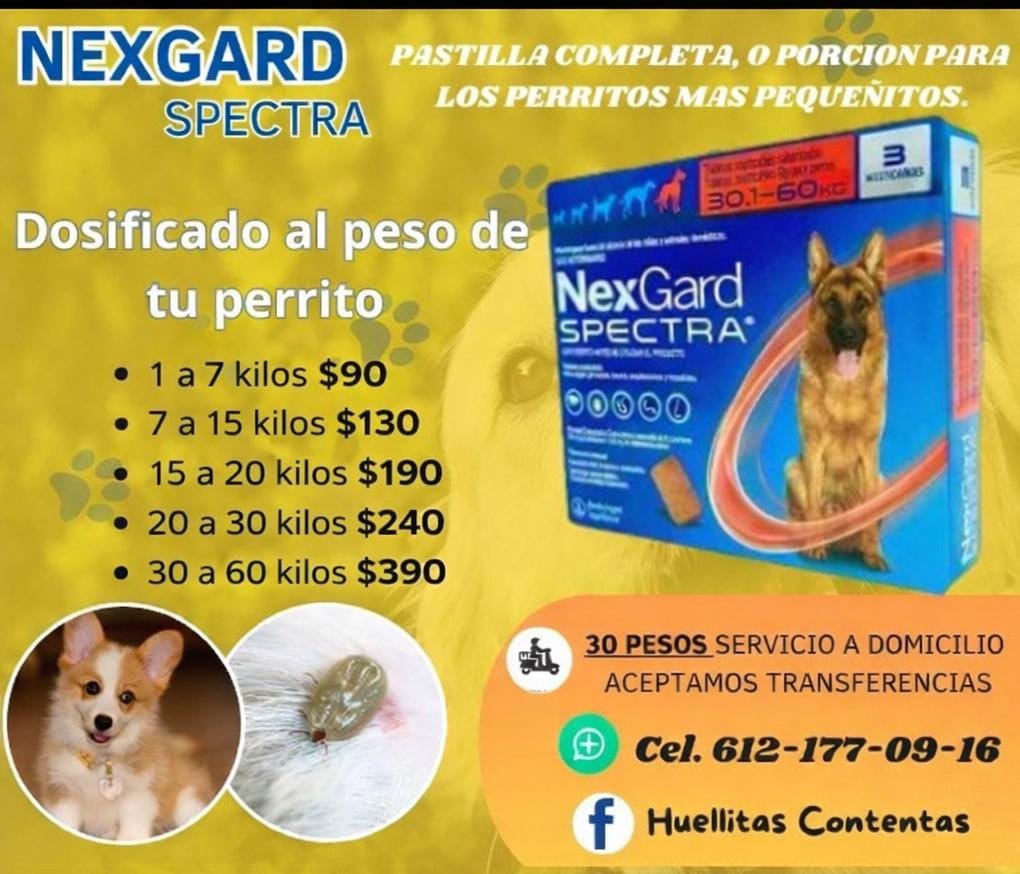 Huellitas contentas Facebook ad: NEXGARD DOSIFICADA AL PESO DE TU MASCOTA
