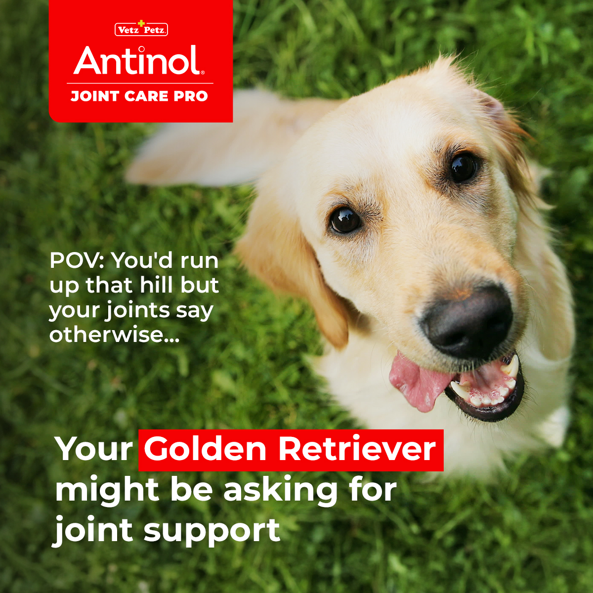 Antinol UK Facebook ad