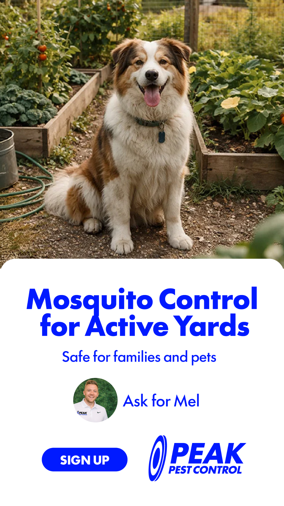 Peak Pest Control Facebook ad