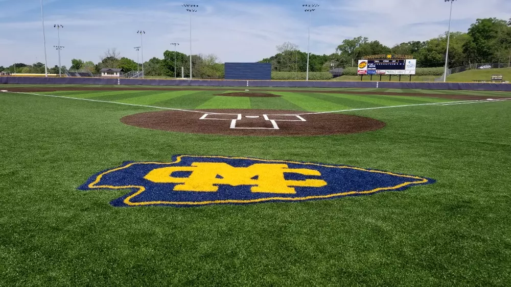2D Sports Baseball Facebook ad: June 11-14 @ 4 Colleges