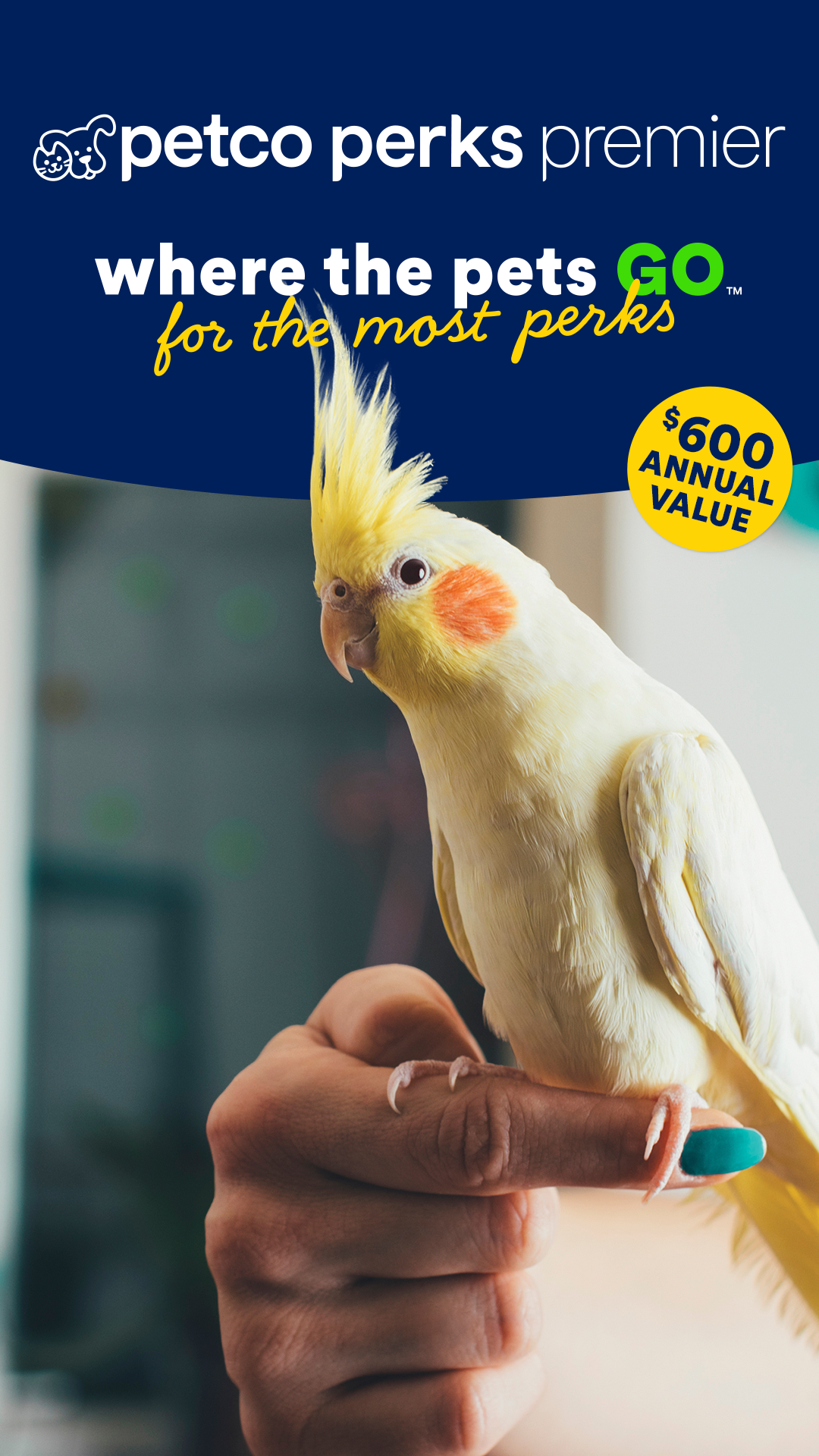 Petco Facebook ad