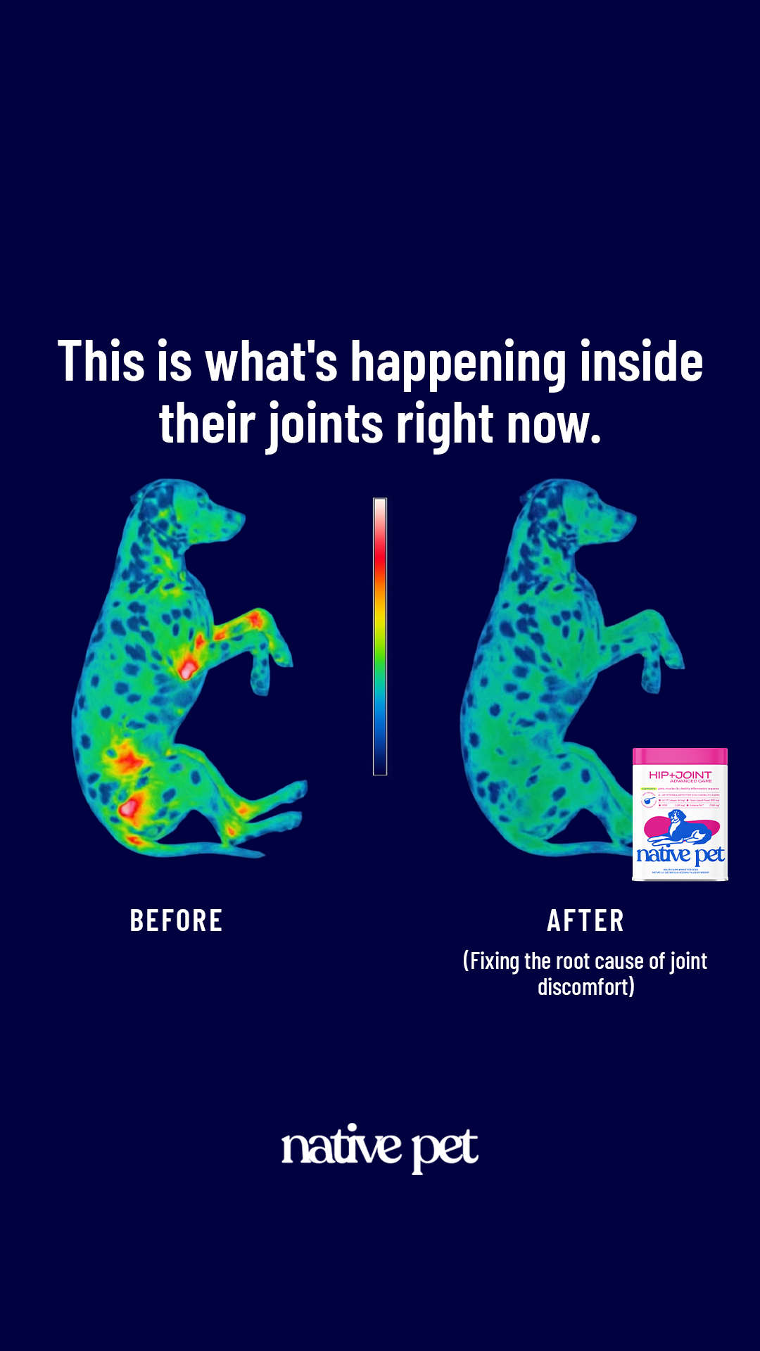 Native Pet Facebook ad