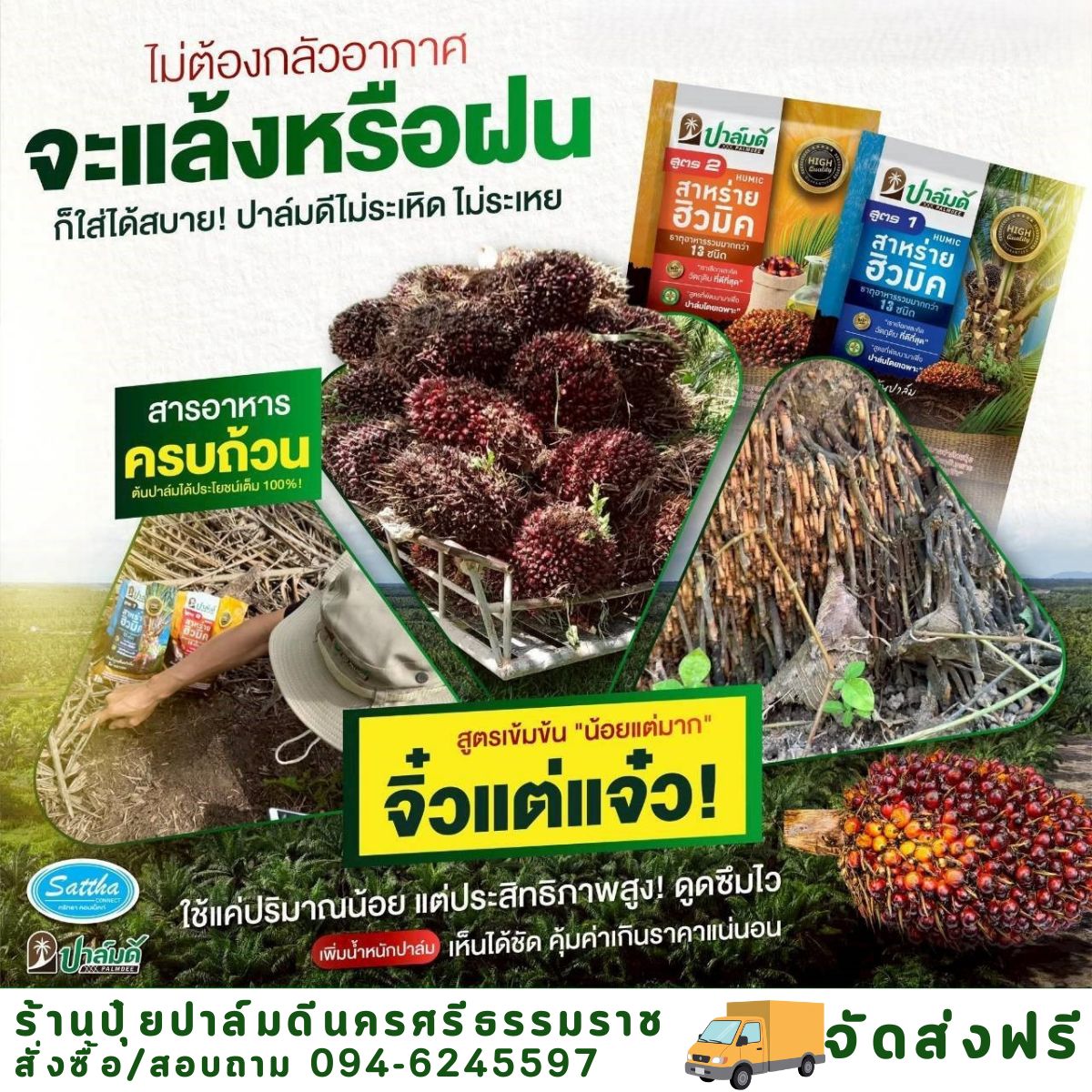 ปาล์มดี-ปุ๋ยปาล์ม ราคาโรงงานจัดส่งทั่วประเทศ Facebook ad: 836 คนสั่งซื้อแล้ว