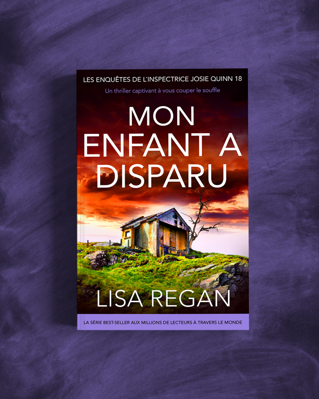 Bookouture France Facebook ad: « Tout ce que je peux dire, c’est WOW! WOW! WOW! »…