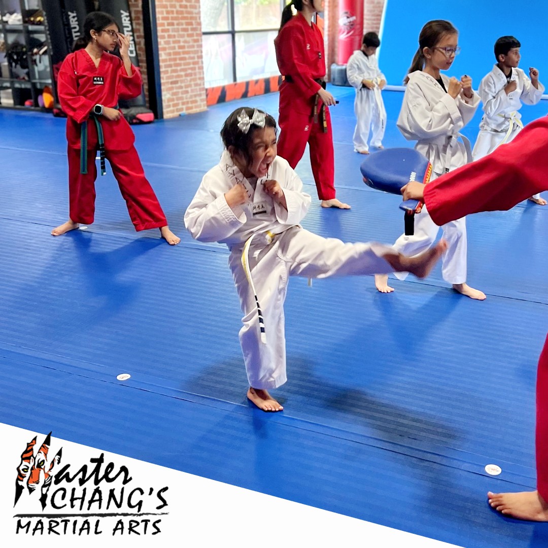 Master Chang's Martial Arts Holly Springs Facebook ad