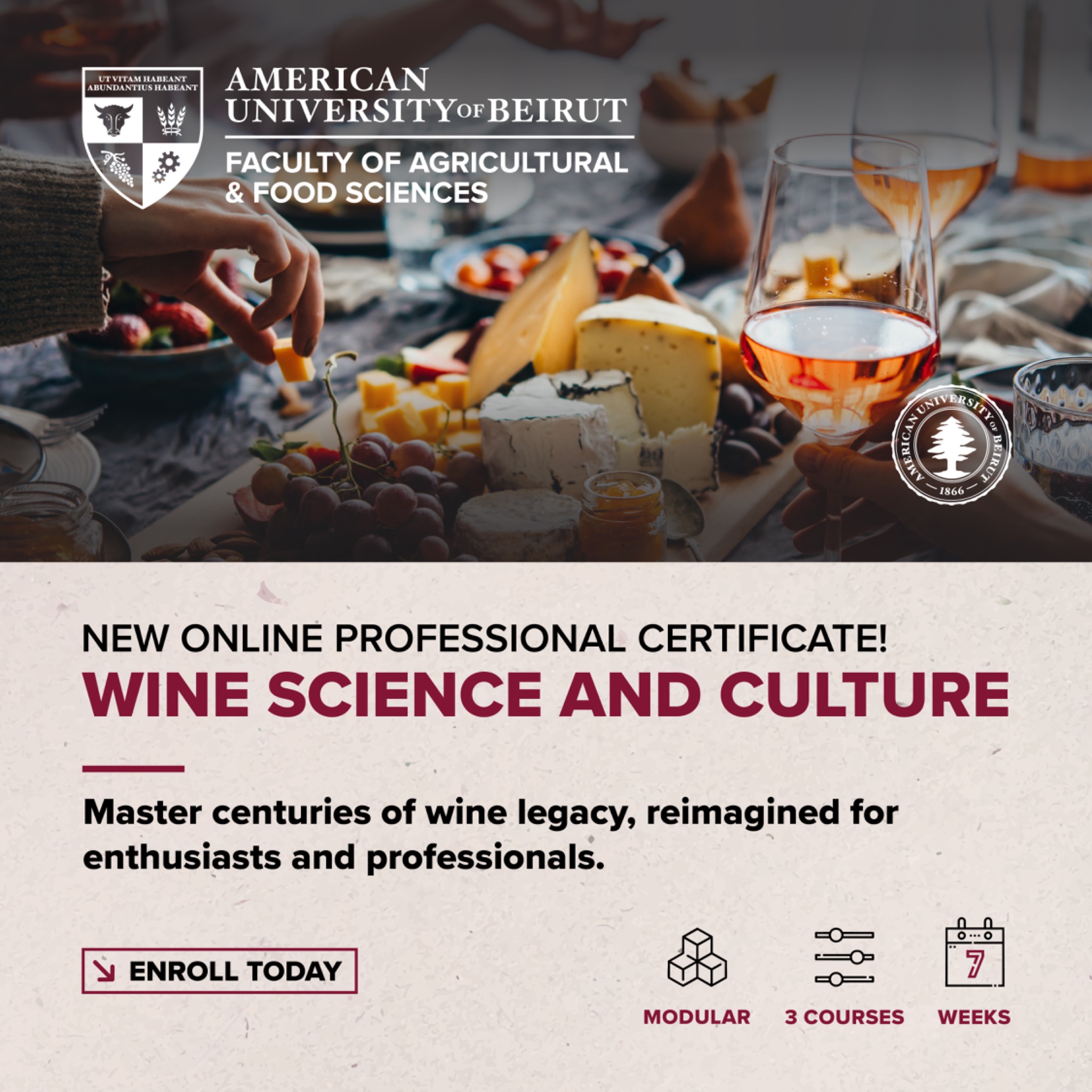 AUB - Faculty of Agricultural and Food Sciences FAFS Facebook ad: Wine Science and Culture Online Professional Certificate