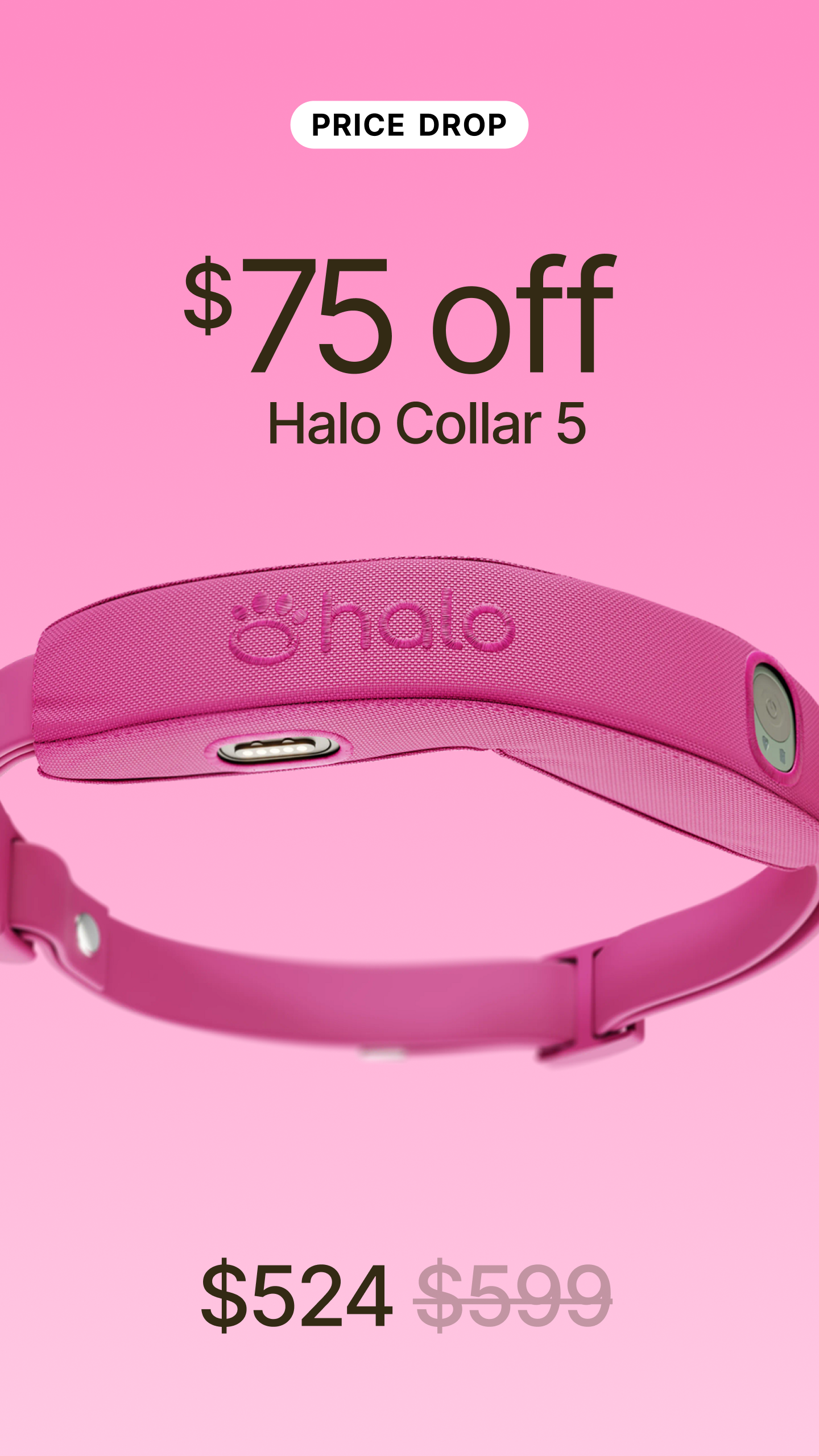 Halo Collar Facebook ad
