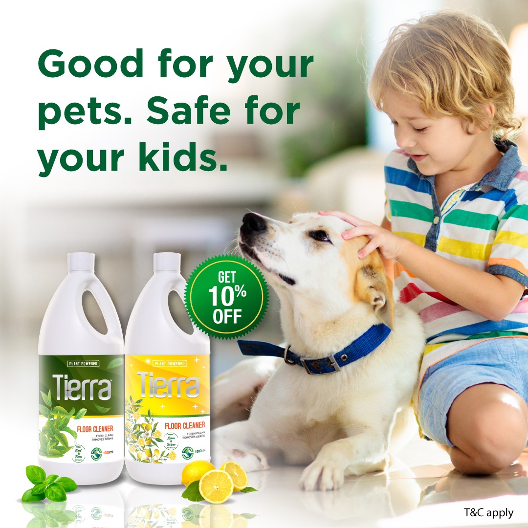 Tierra India Facebook ad