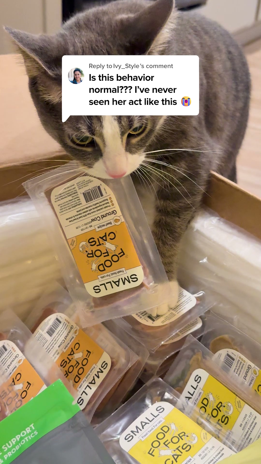 Smalls Facebook ad: Human-Grade Fresh Cat Food