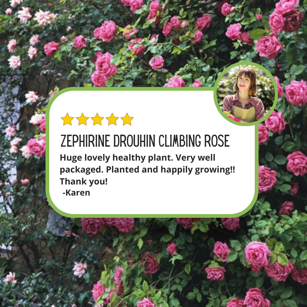 Nature Hills Nursery Facebook ad