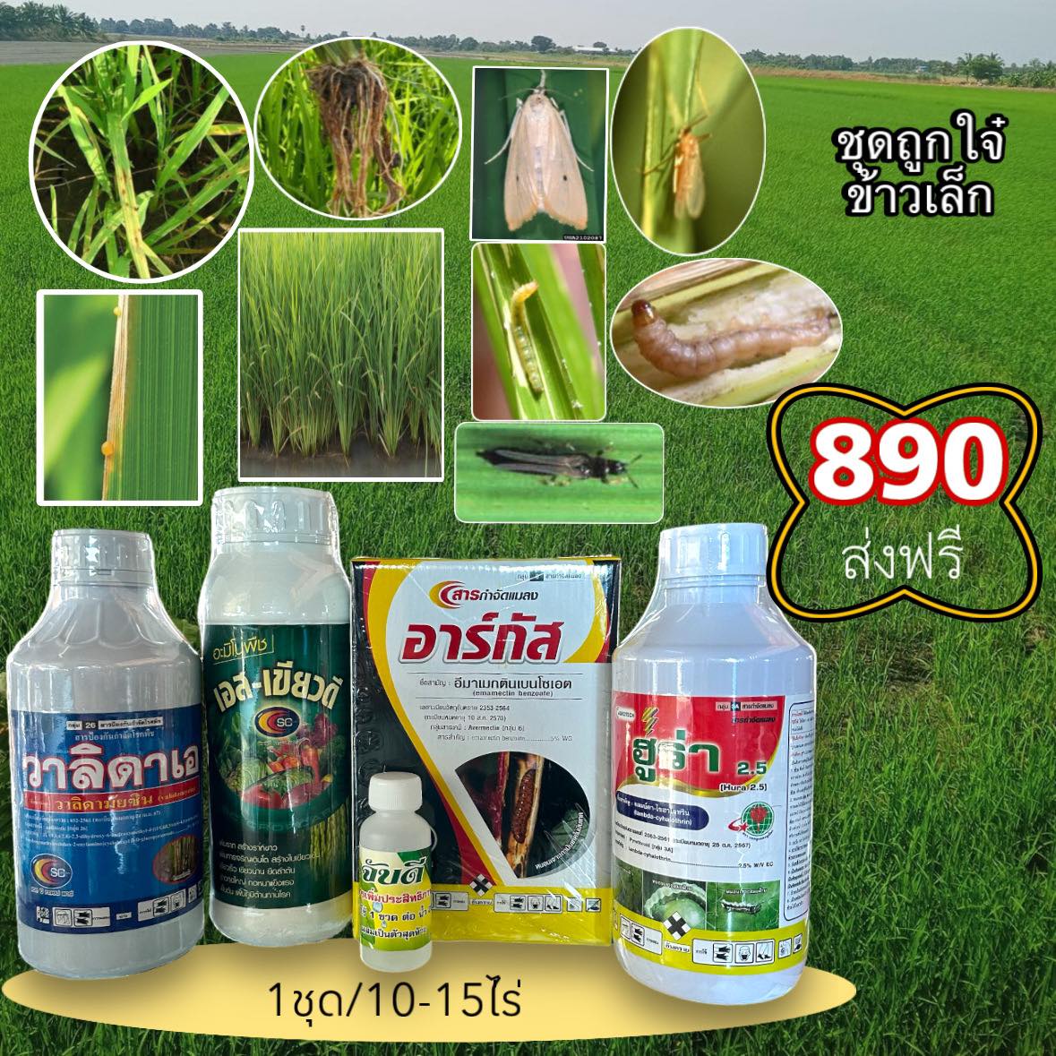 Stvยาดีเคมีเกษตรออนไลน์ Facebook ad: ชุดถูกใจ๋ข้าวเล็ก