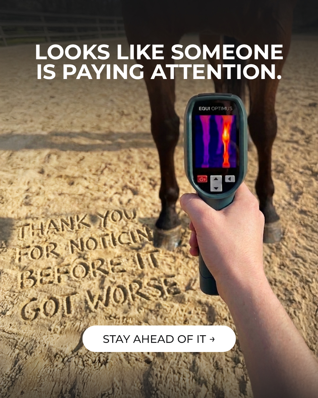 Chevaroo Facebook ad