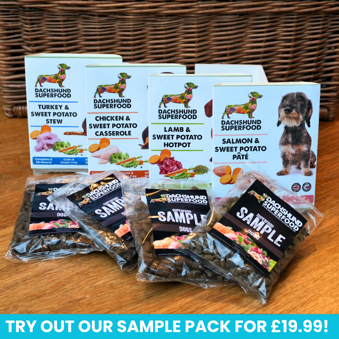 Dachshund Superfood Facebook ad
