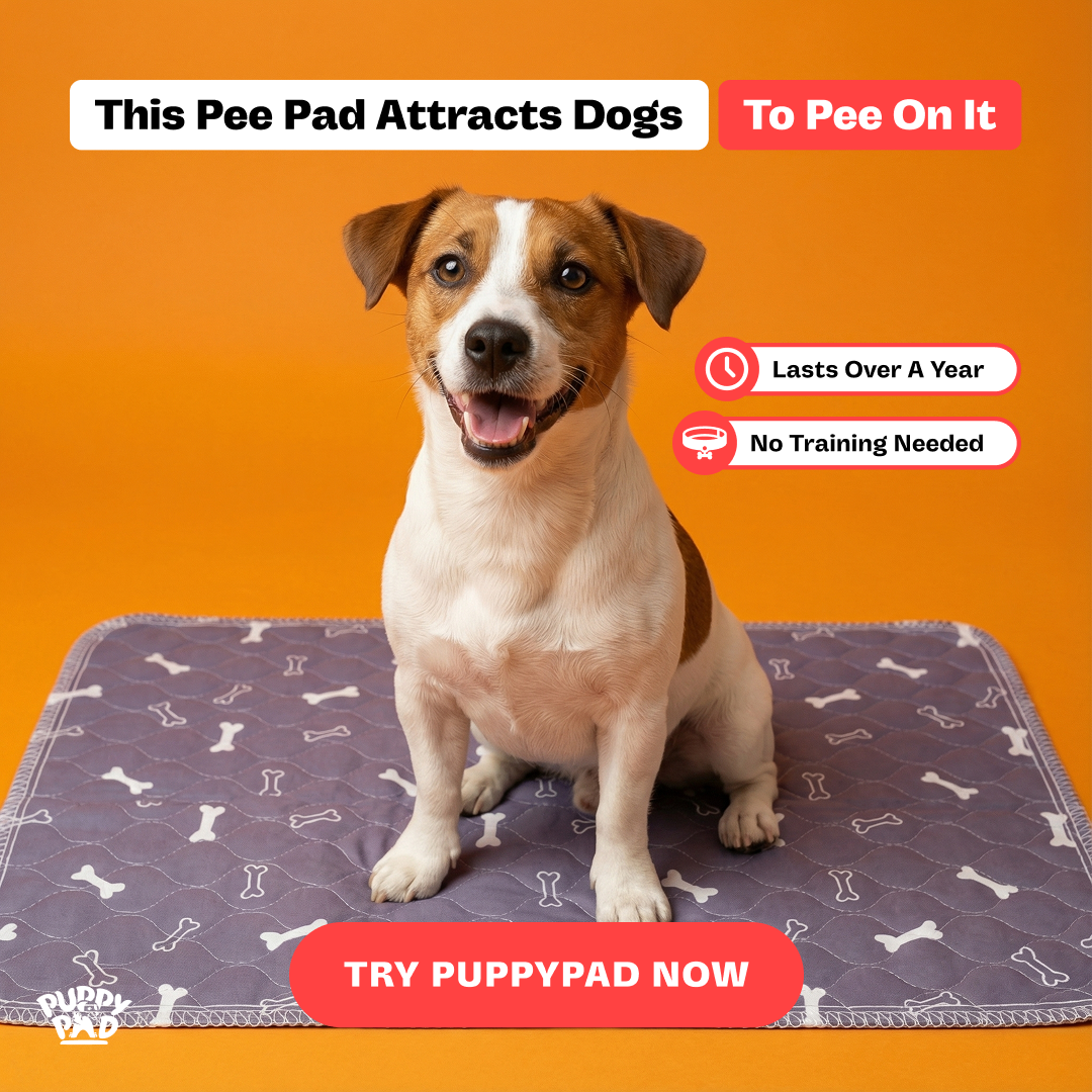 PuppyPad Facebook ad