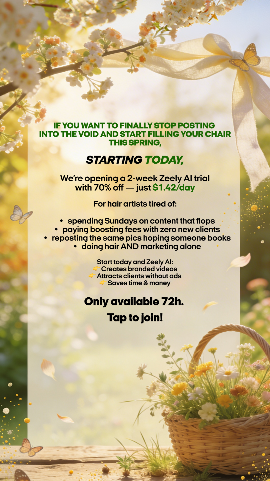 Zeely Facebook ad
