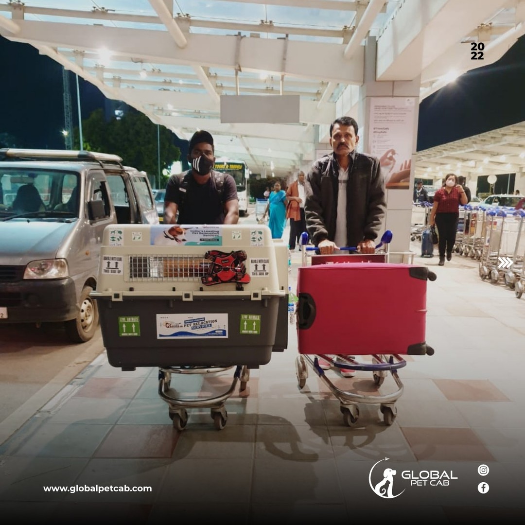 Global Petcab Facebook ad from Mar 27, 2026