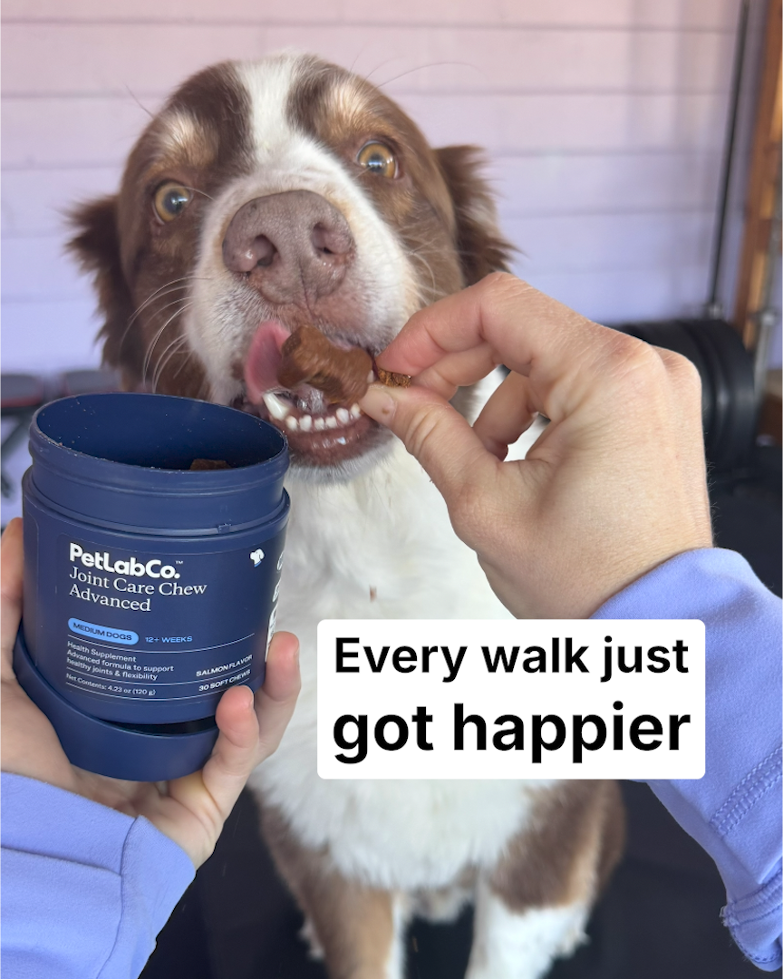 Hailey Nolin, PNL2, CFL1 Facebook ad
