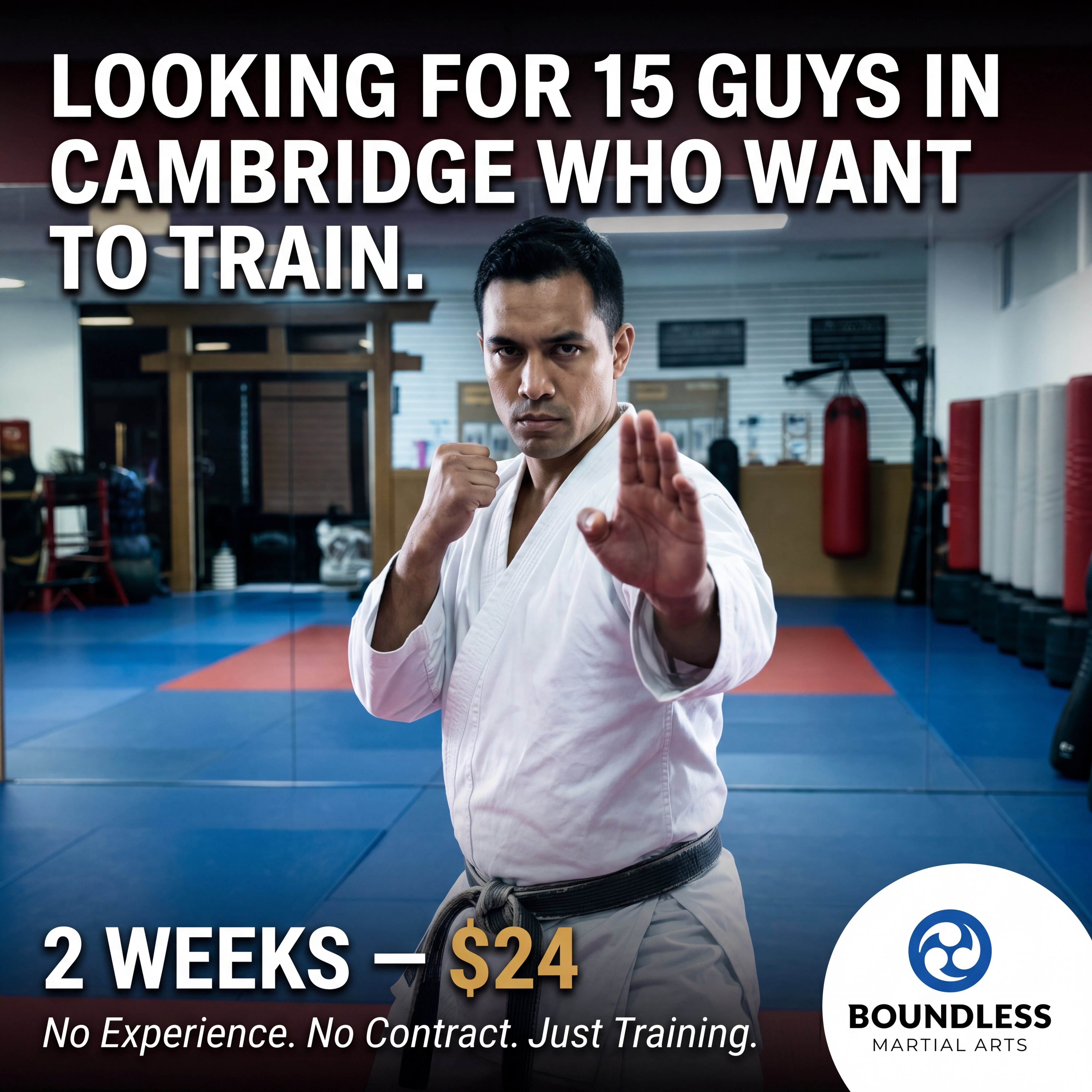 Boundless Martial Arts Facebook ad: 2 Weeks of Martial Arts Training, Just $24