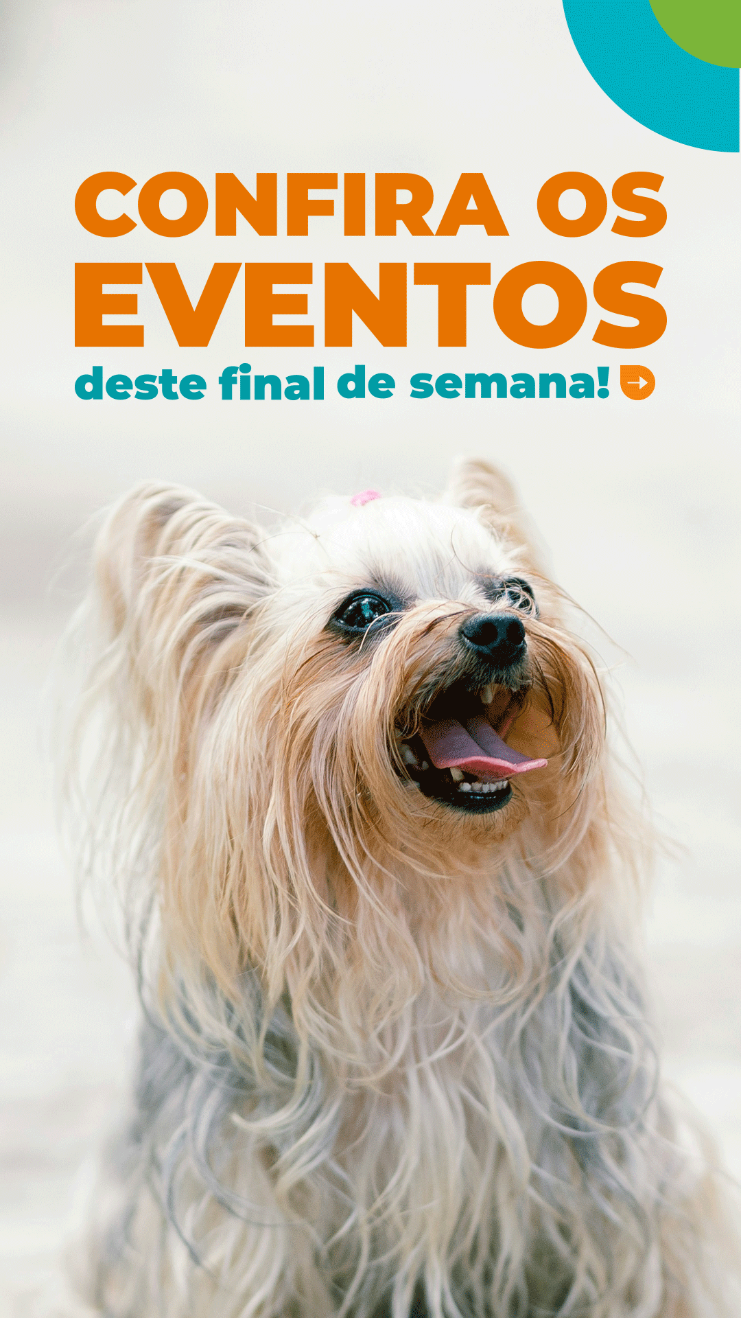 Cobasi - Essencial para a vida Facebook ad