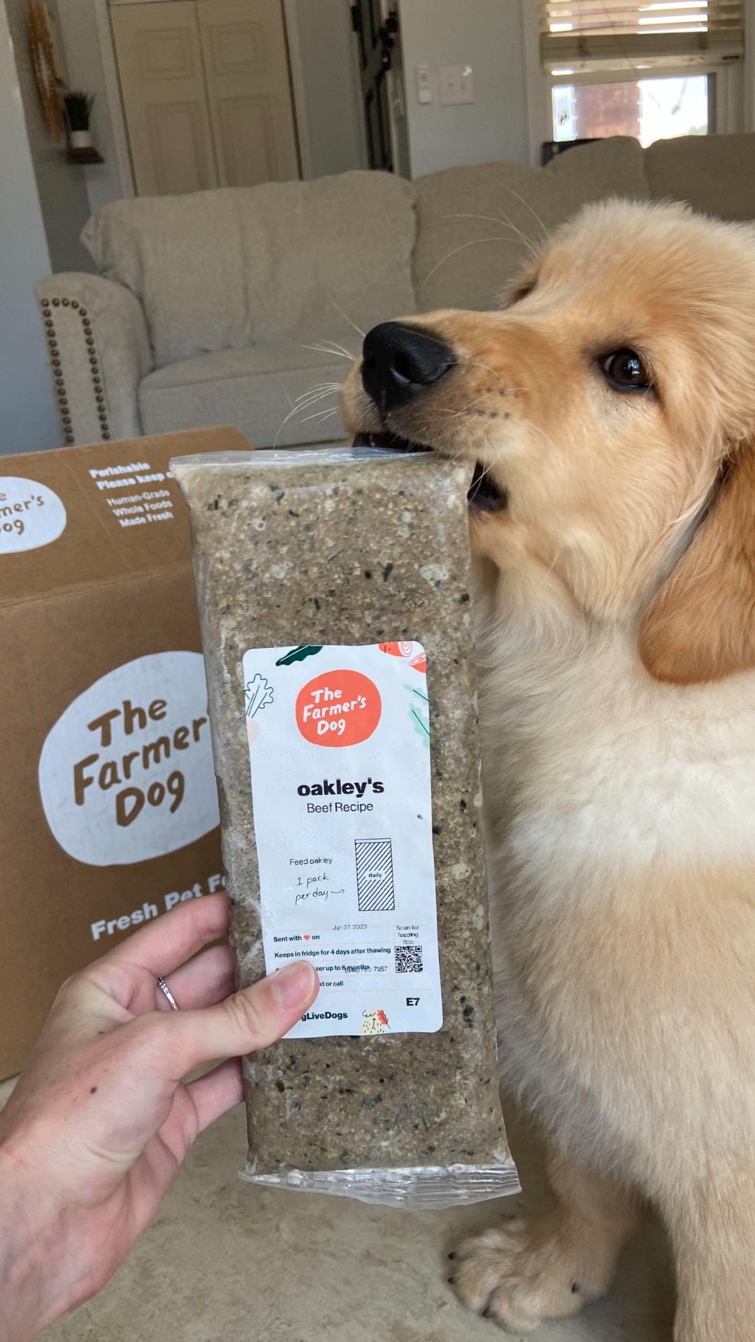 Rounds Of A Paws Facebook ad