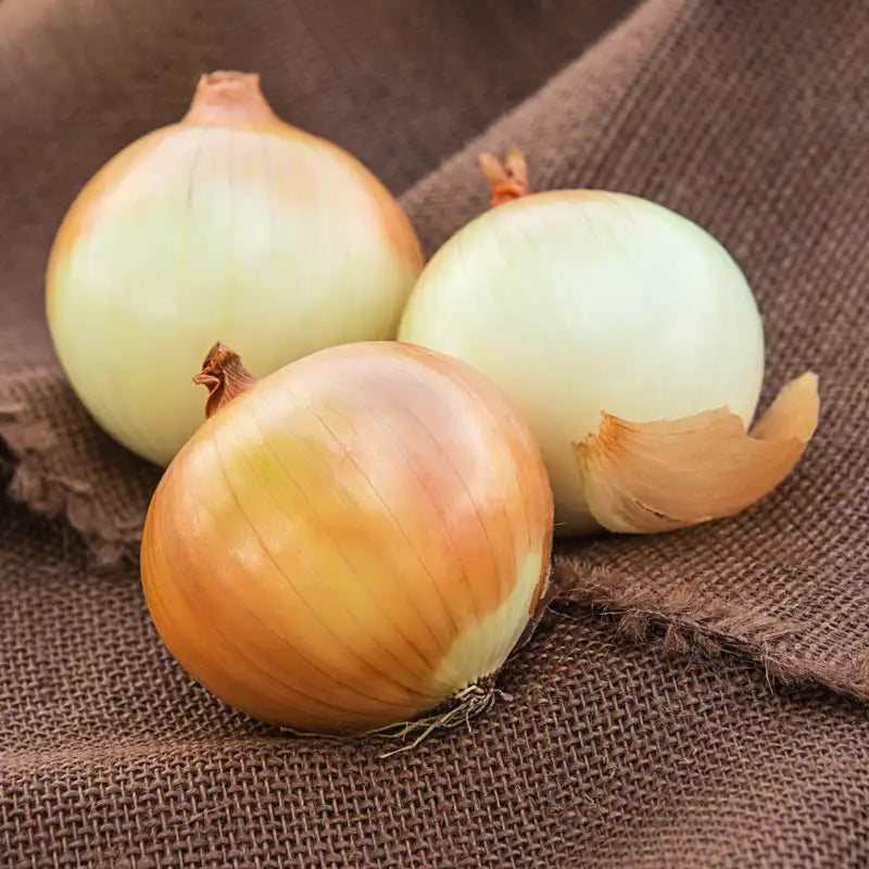 Gurney's Seed and Nursery Co. Facebook ad