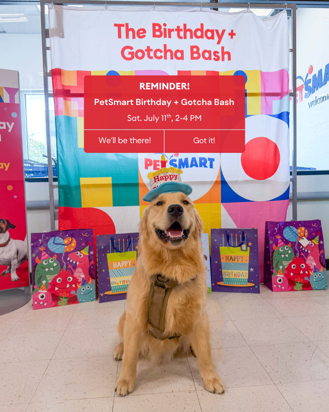 PetSmart Facebook ad