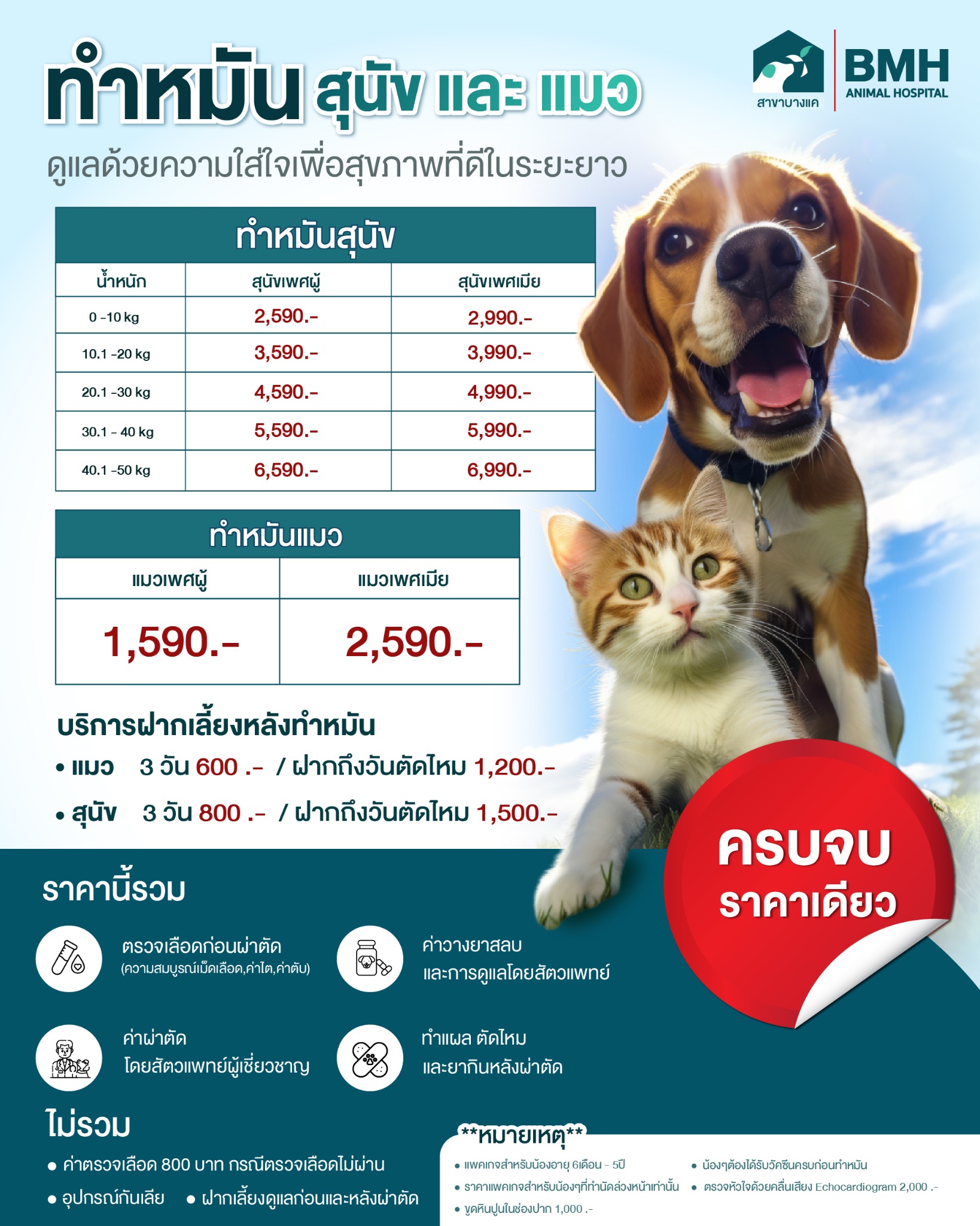 BMH รักษาสัตว์ สาขาบางแค Facebook ad from Feb 2, 2026