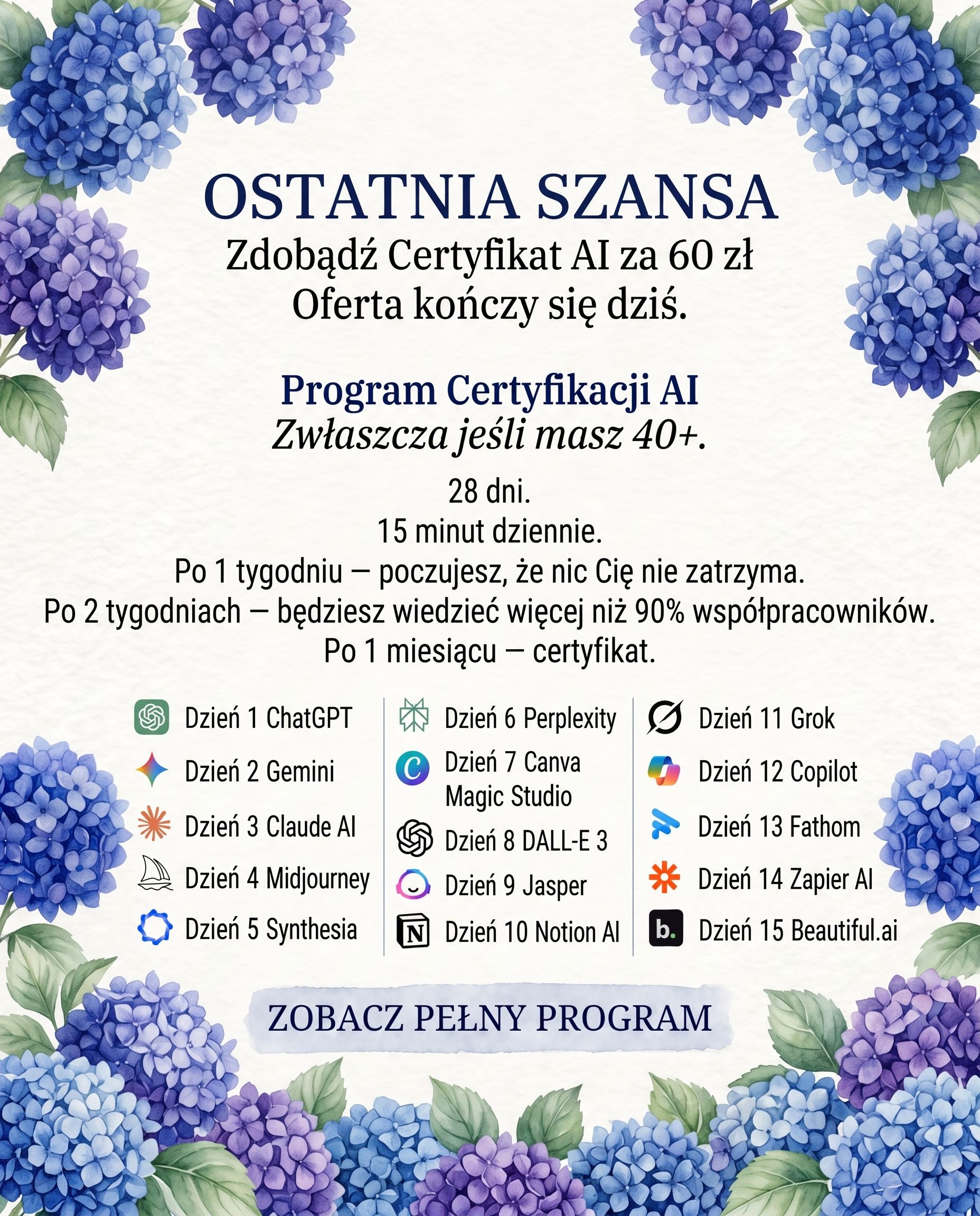 Lernejo AI Polska Facebook ad