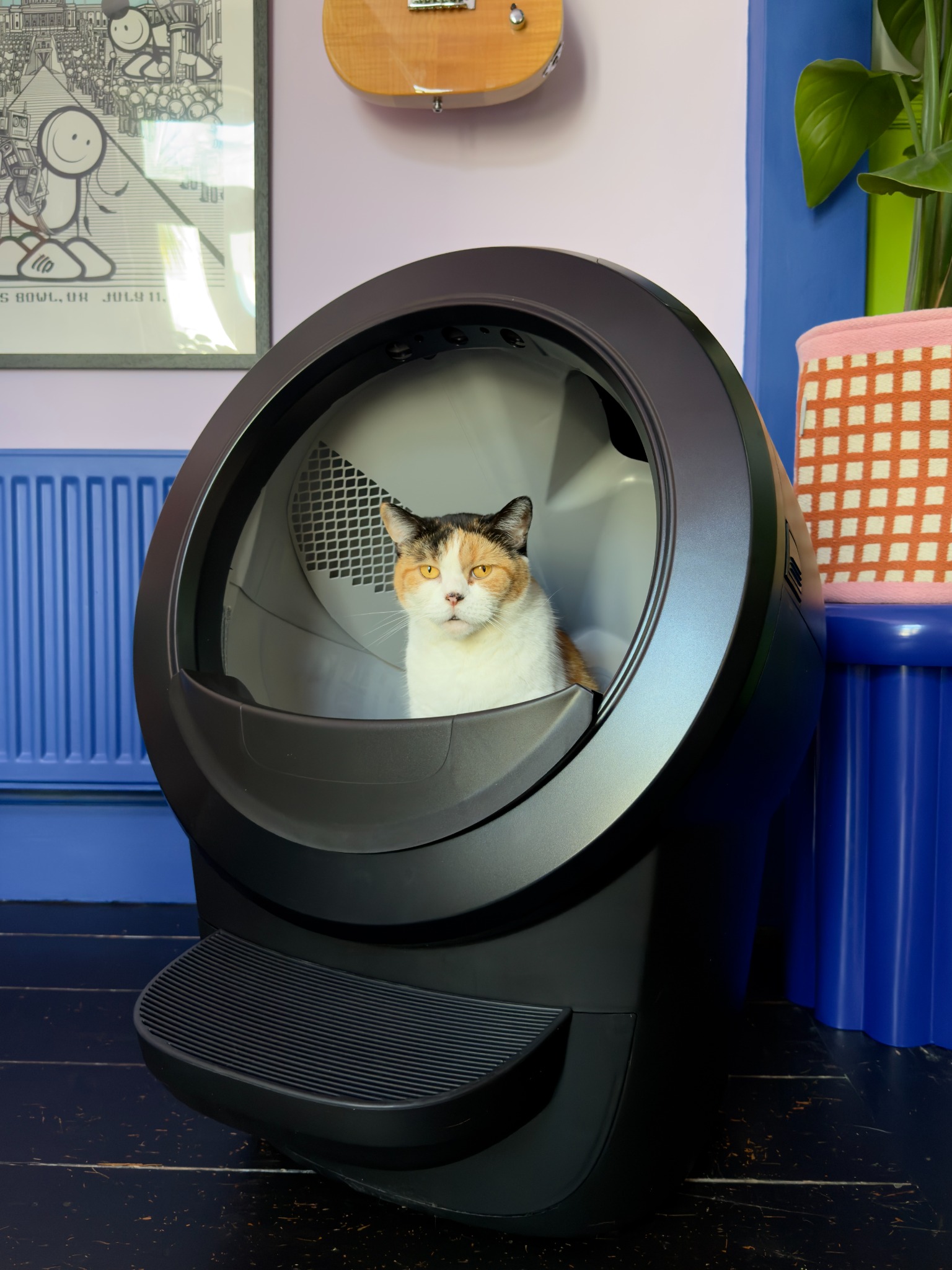 Litter-Robot by Whisker Facebook ad