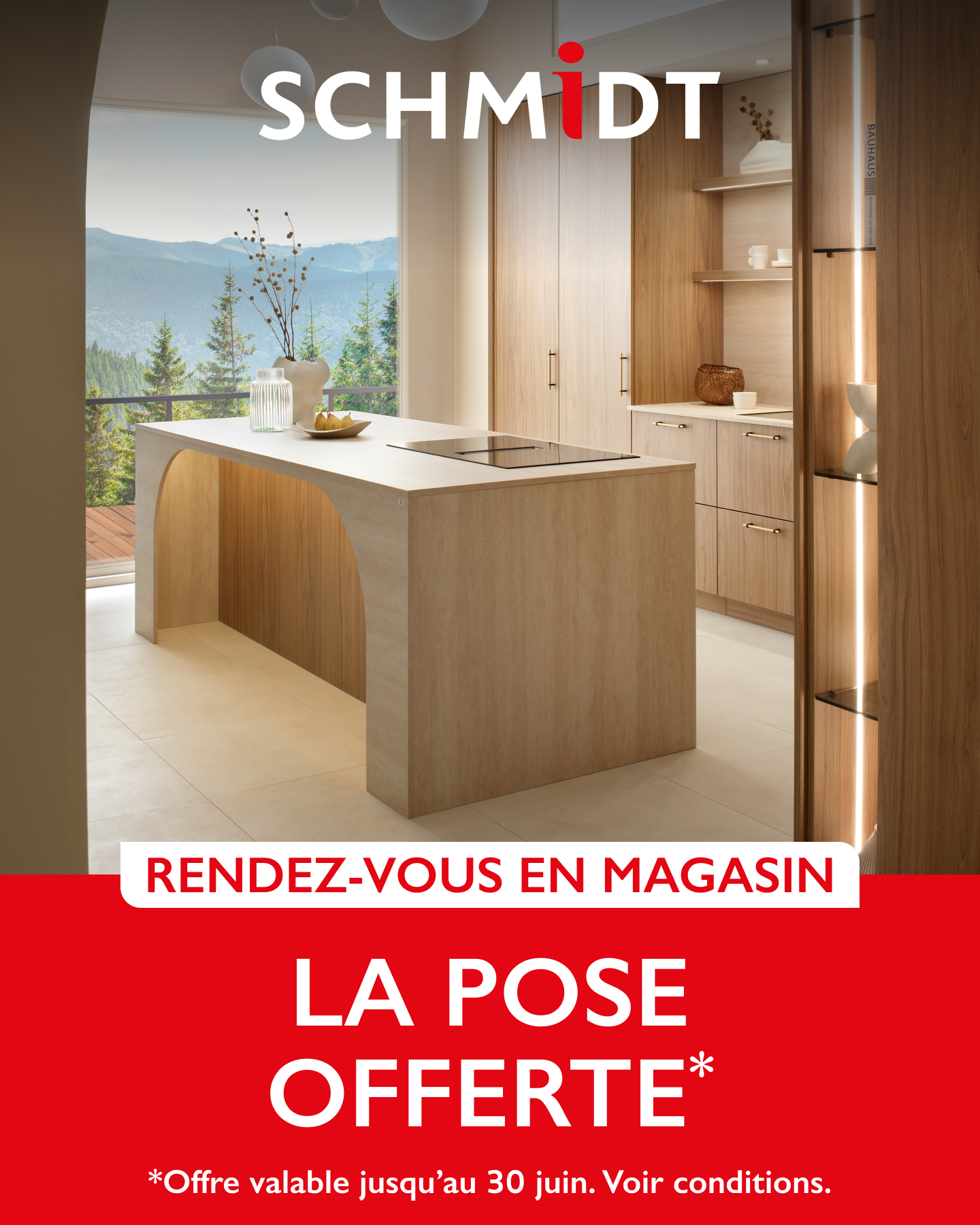 Schmidt Facebook ad