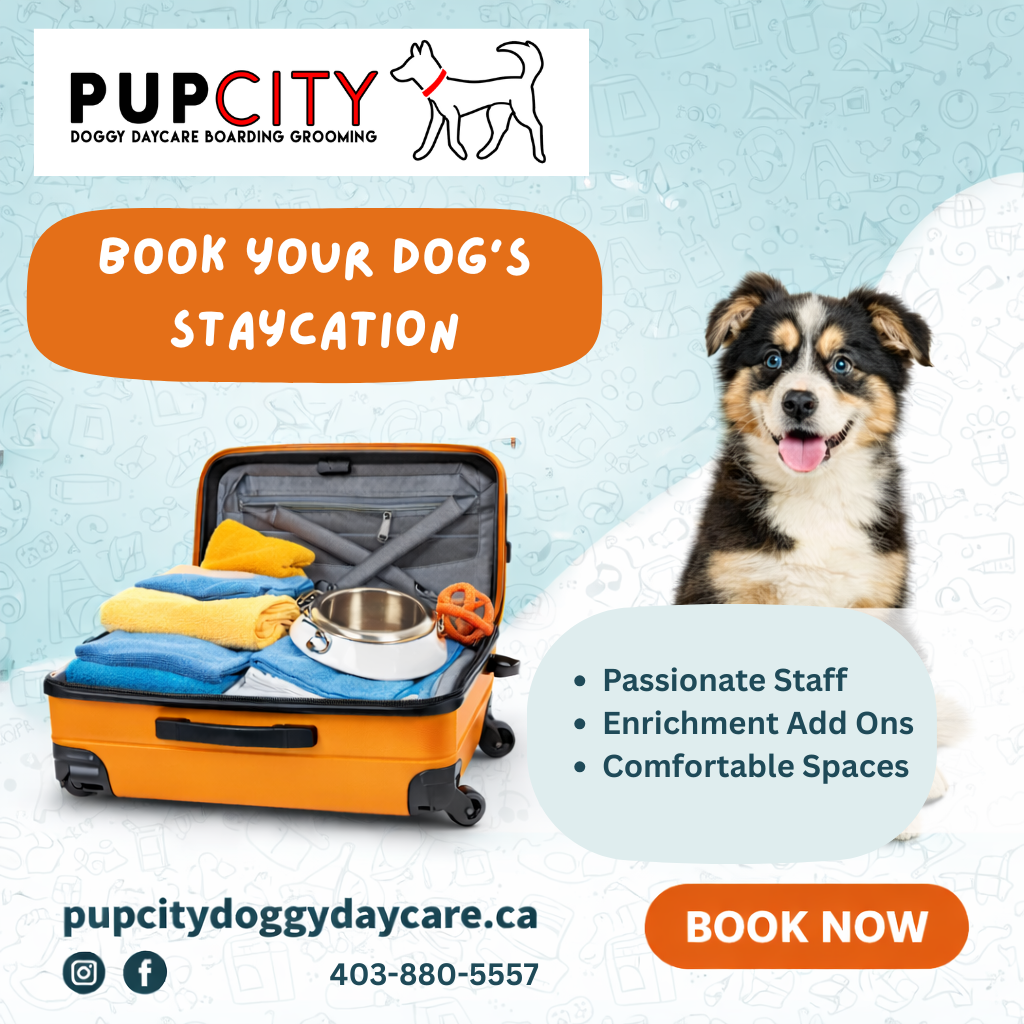 Pup City Doggy Daycare Facebook ad
