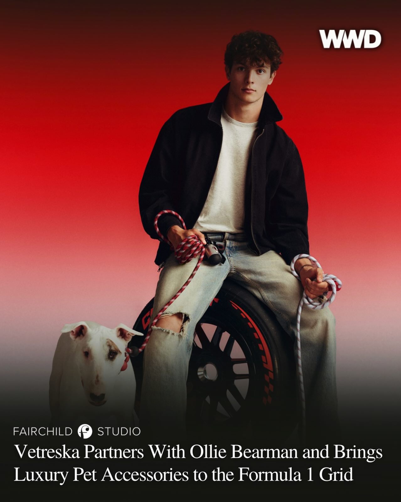 WWD Facebook ad: Vetreska Partners With Ollie Bearman and Brings Luxury Pet…