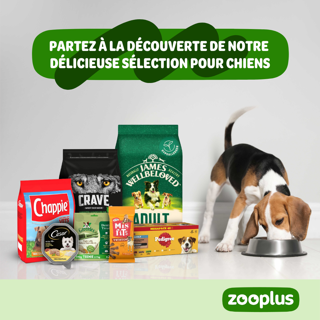 zooplus Facebook ad