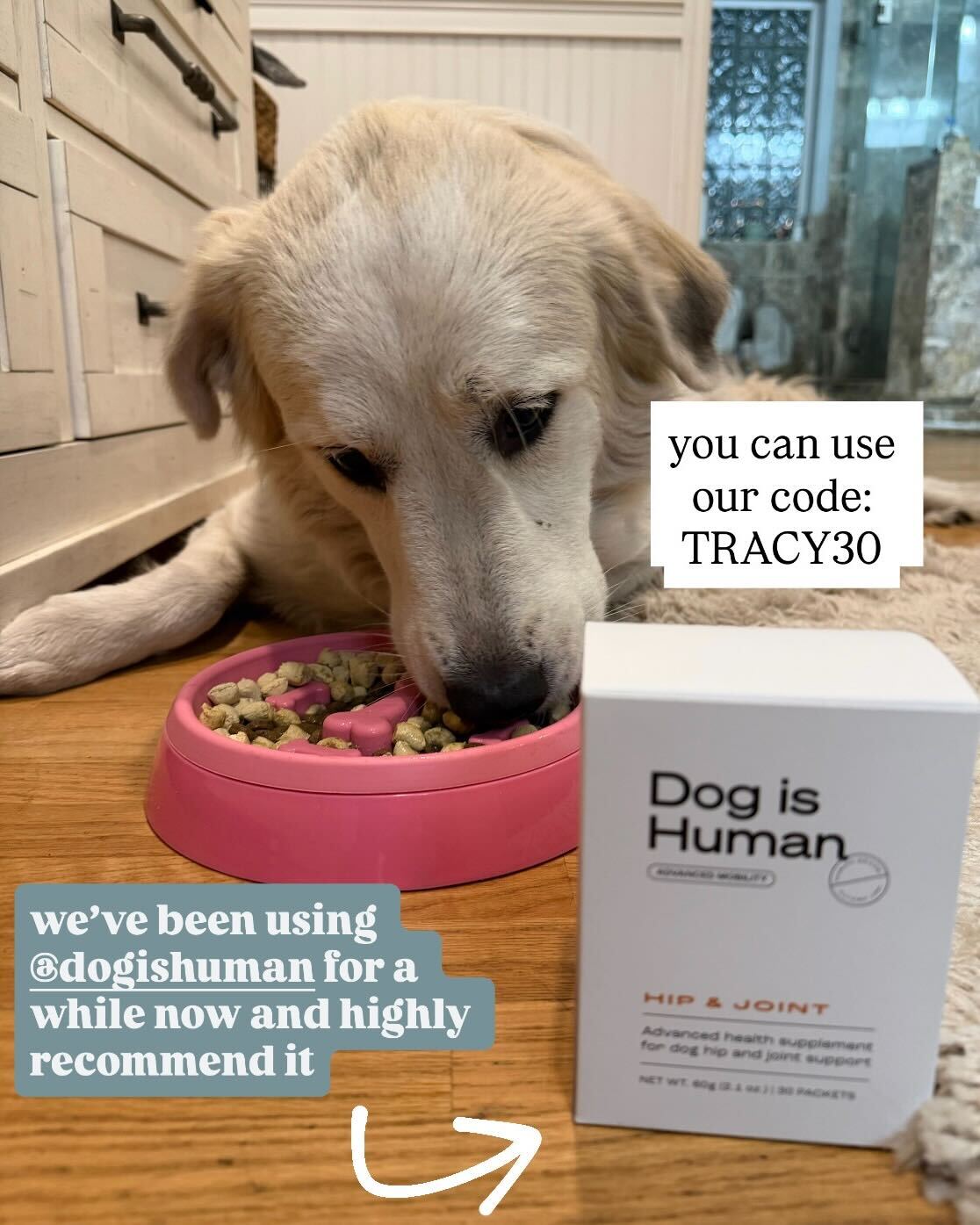 Tracy's Dog Life Facebook ad