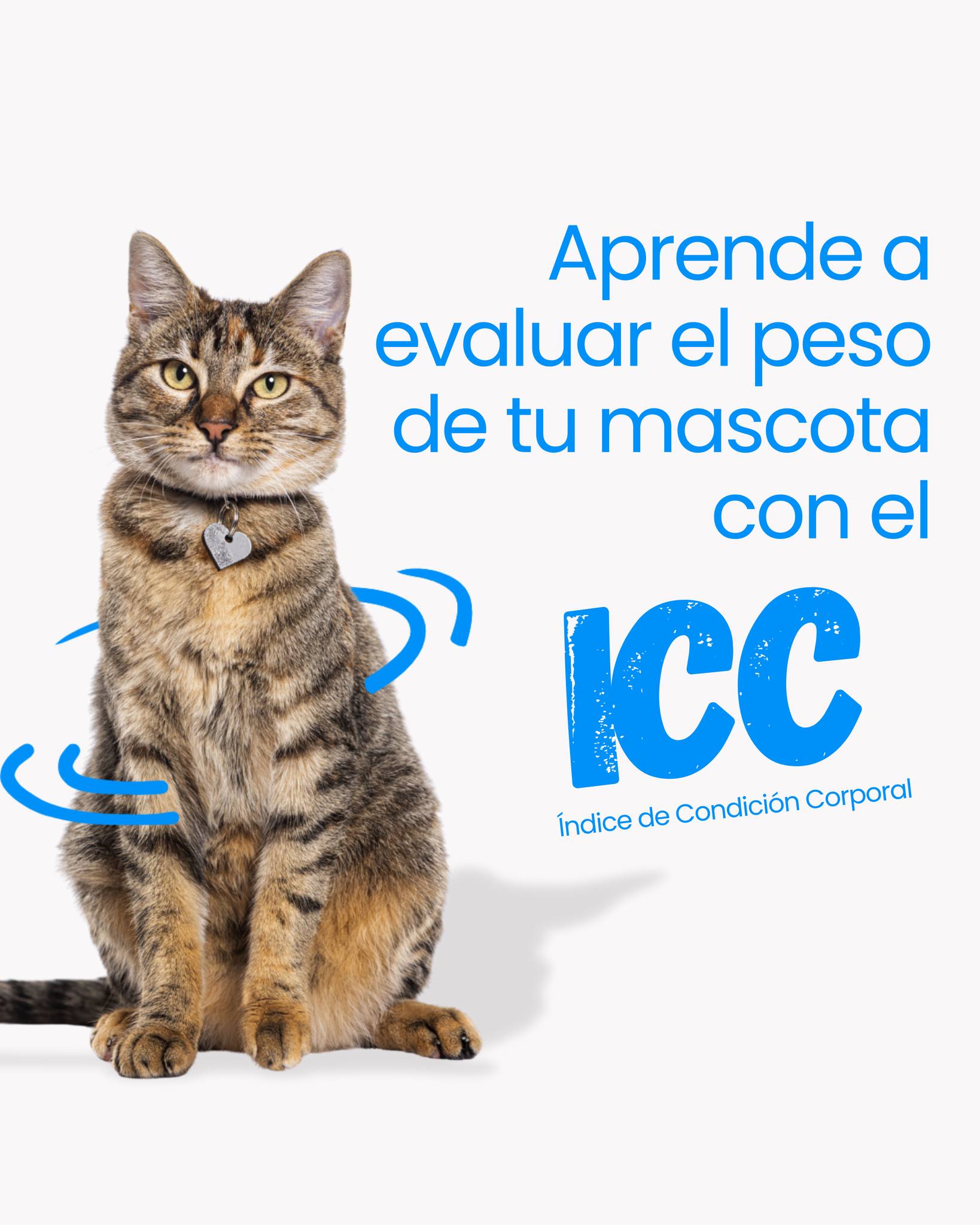 Farmina Chile Facebook ad: ¿Sabes cómo evaluar la forma y condición corporal…