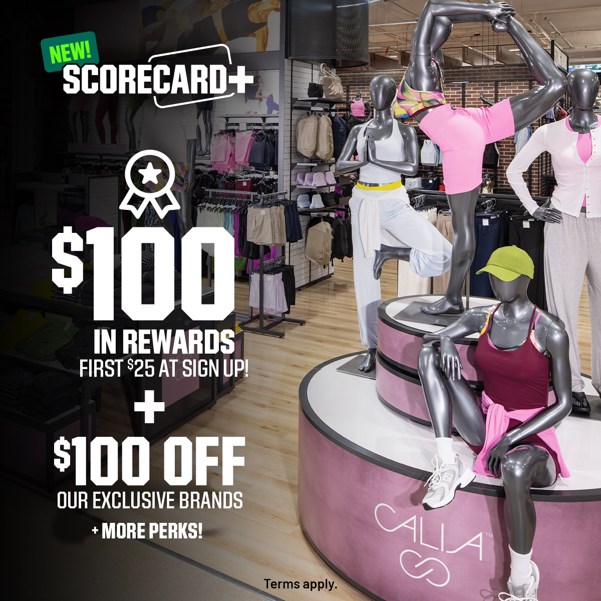 DICK'S Sporting Goods Facebook ad: Sign Up for $99/Year