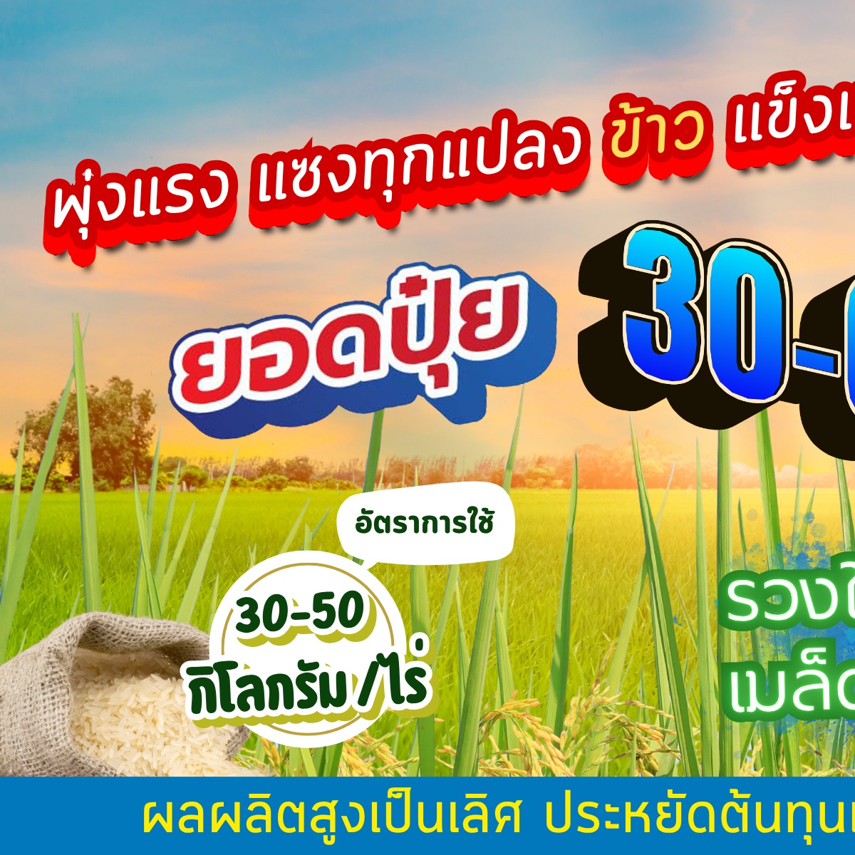 ตรายอดปุ๋ย Yodpui Facebook ad: ปุ๋ยเคมี 30-0-0 กับการแตกกอข้าว