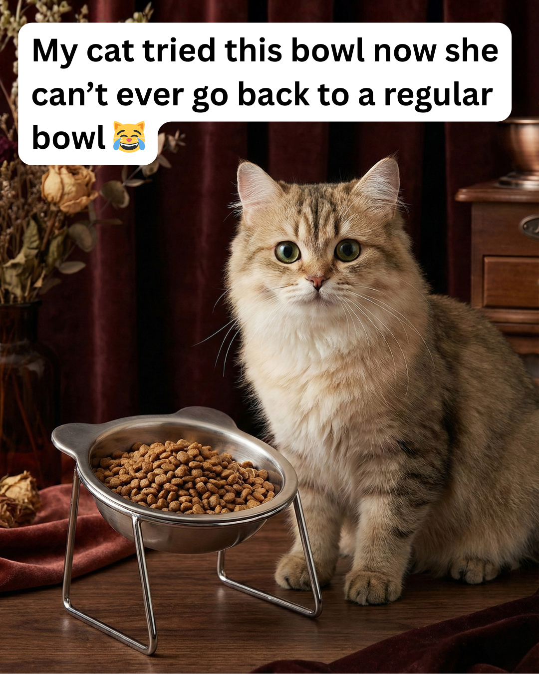 The Friendly Feline Facebook ad: Read this if you still use a standard cat bowl