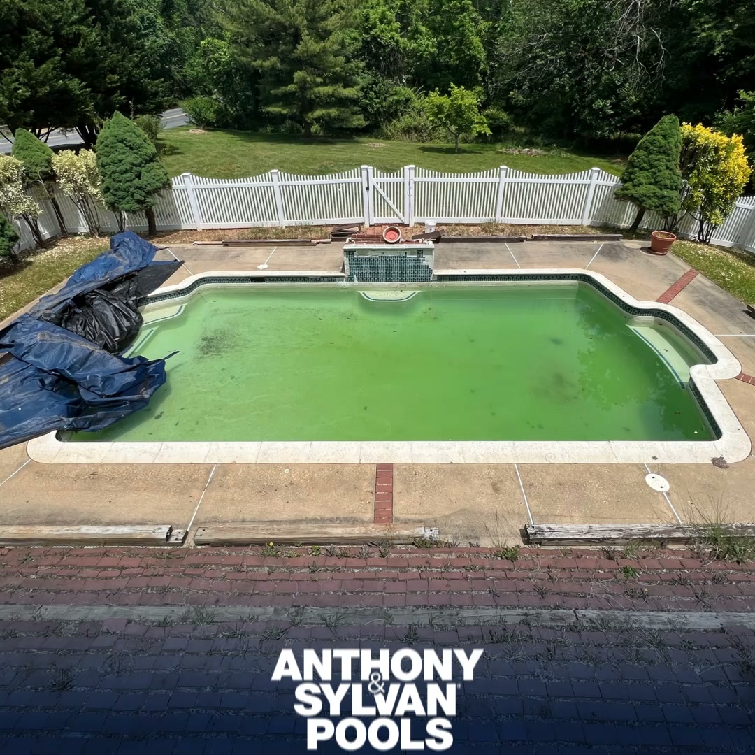 Anthony & Sylvan Pools Facebook ad: $2500 Off Pool Renovations-Ends 9/30