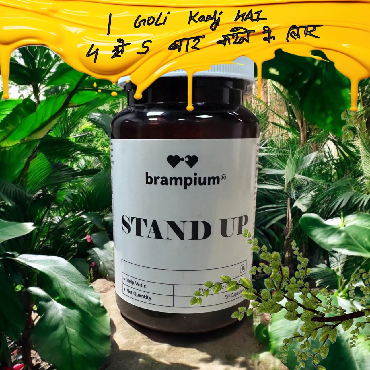 Brampium Facebook ad: रिजल्ट अच्छा है