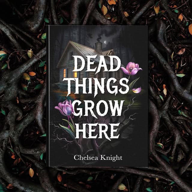 Chelsea Knight - Author Facebook ad: Something in the forest is wearing their faces.