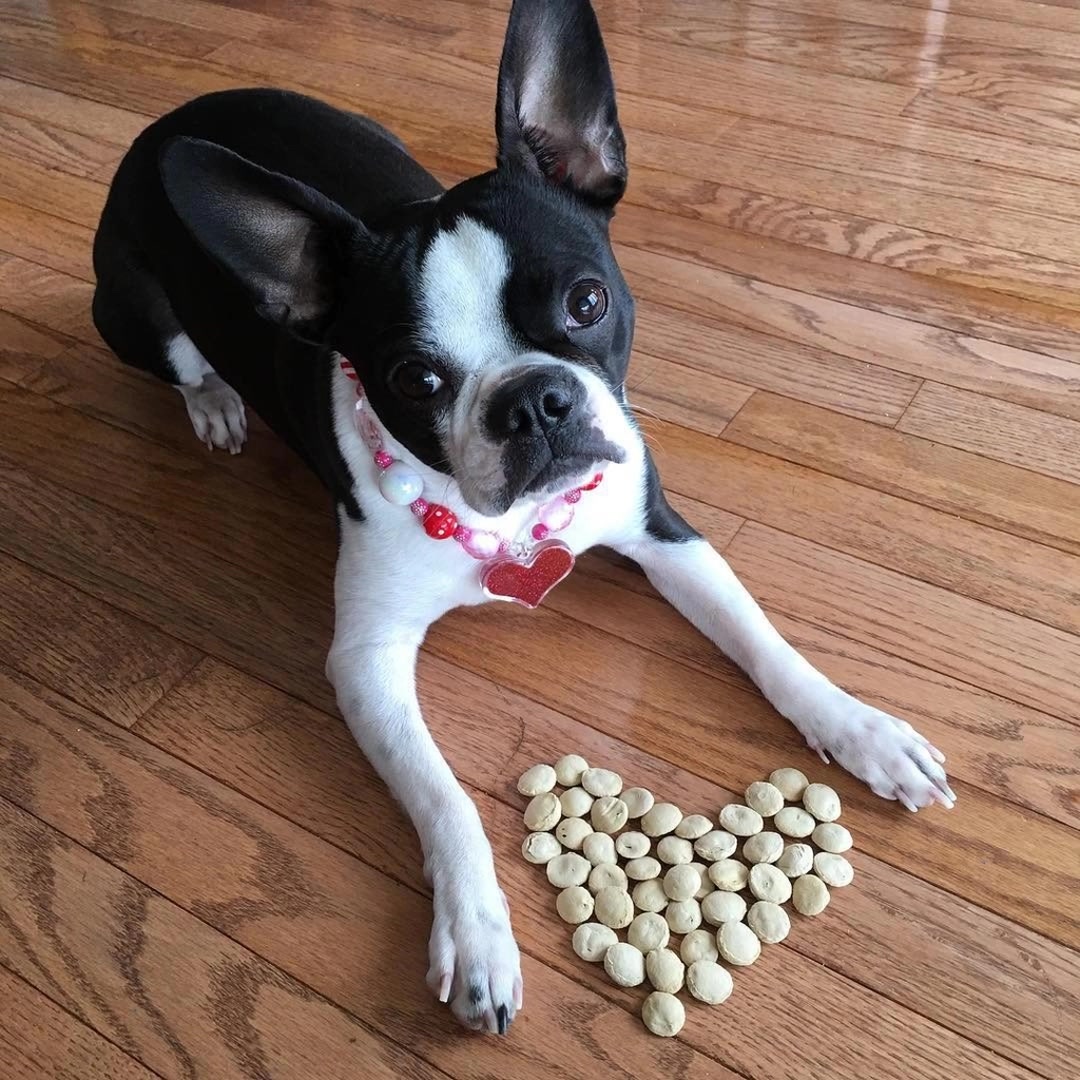 Charlee Bear Dog Treats Facebook ad: Grab a bag on Chewy!