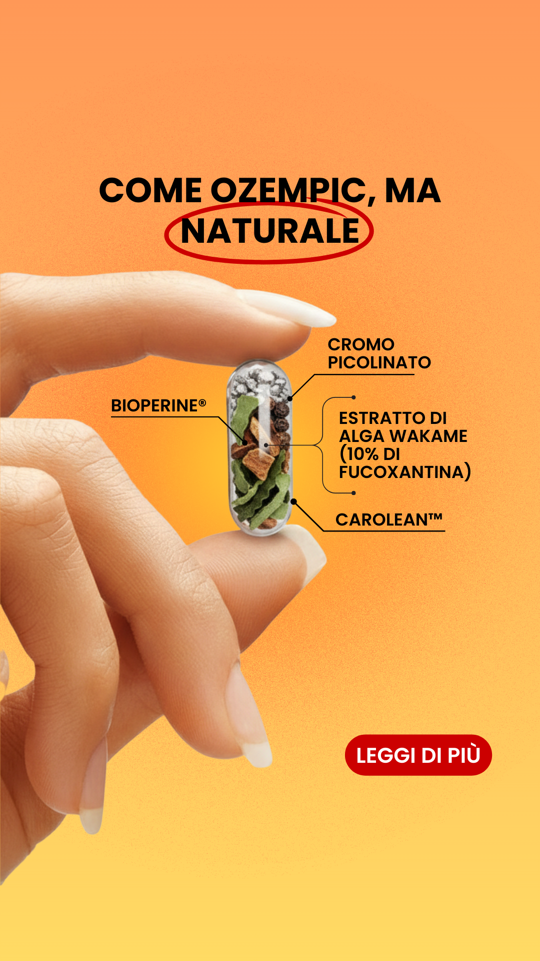 Golden Tree Italia Facebook ad: Il segreto per perdere peso dopo i 40 anni