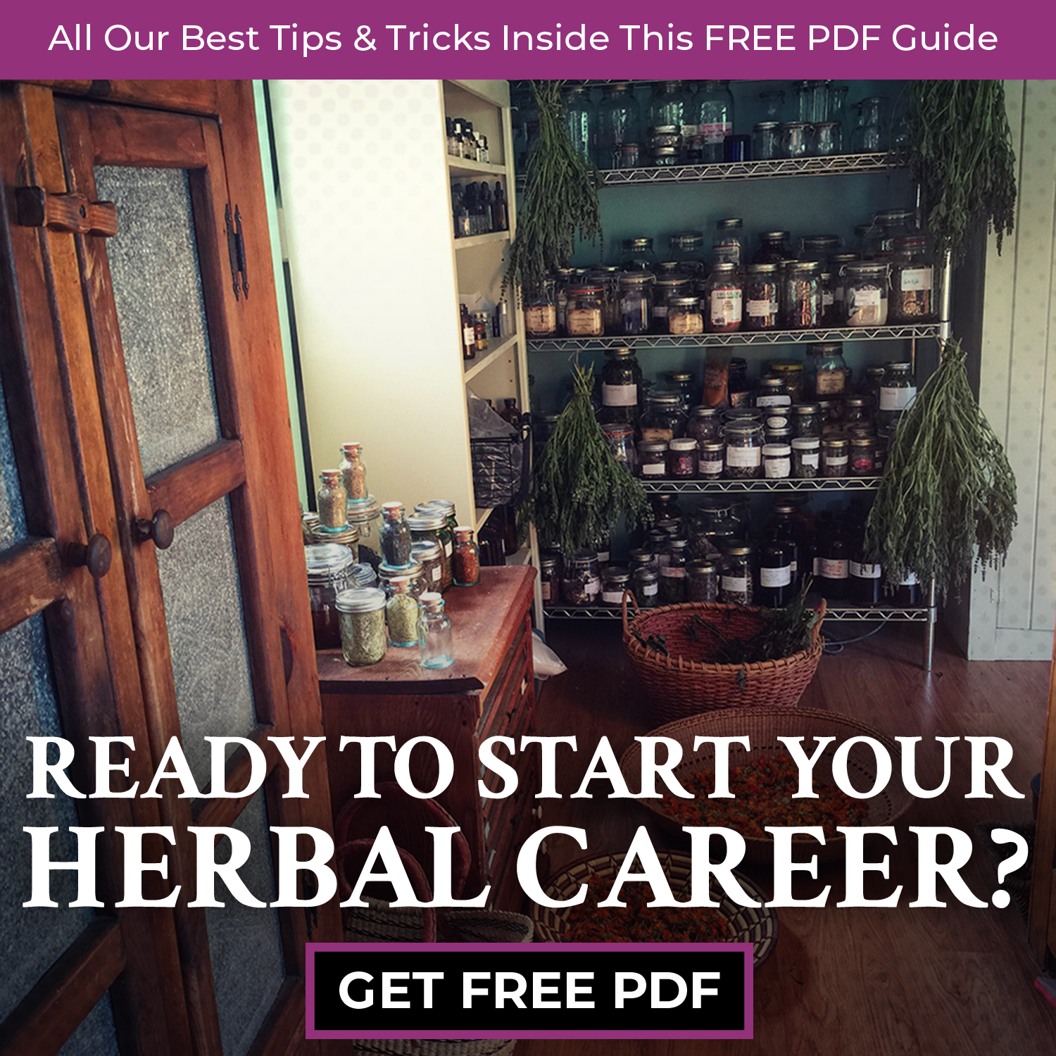 Chestnut School of Herbal Medicine Facebook ad: FREE Guide to Jumpstart Your Herbalist Career