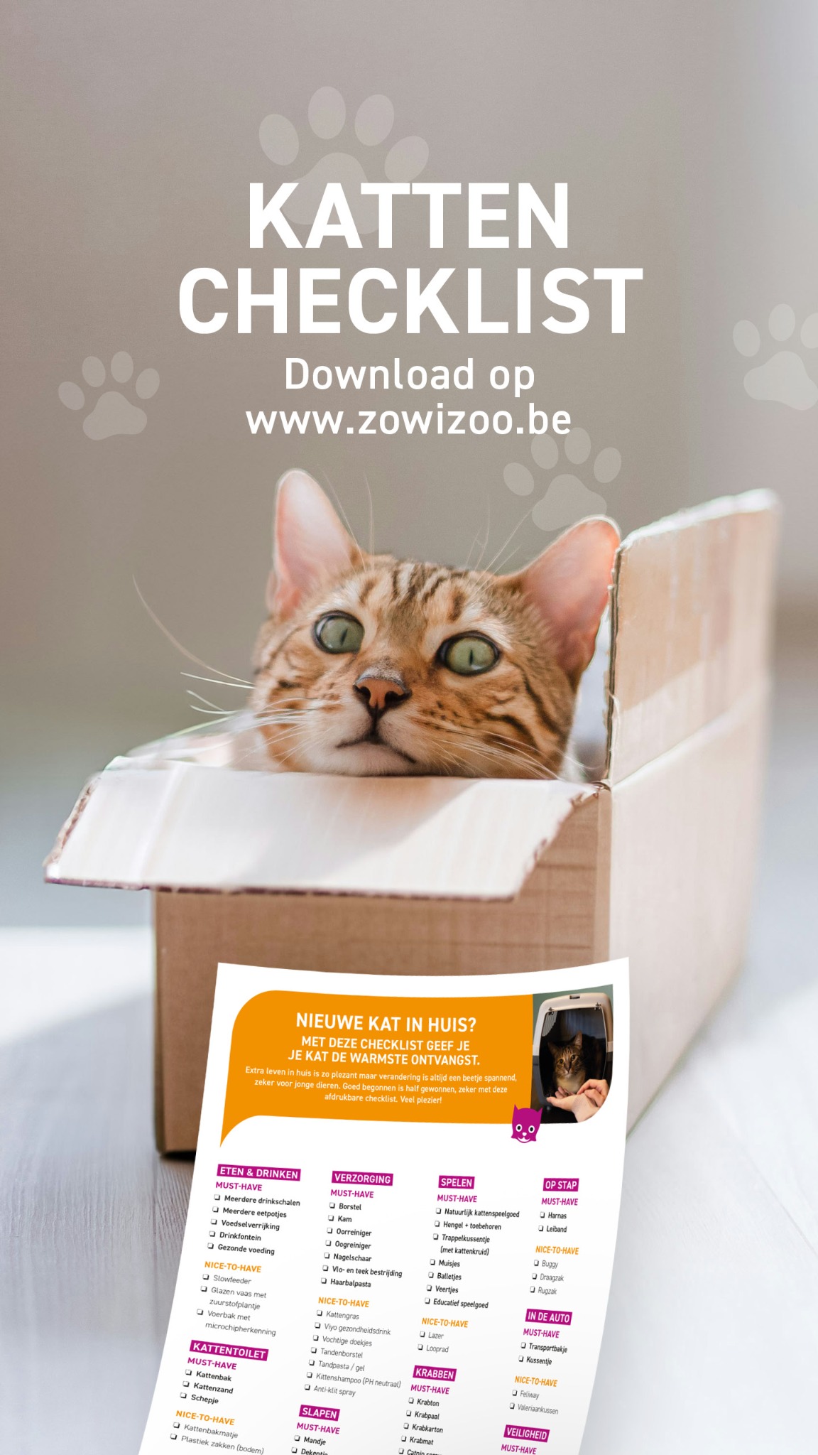 Zowizoo Facebook ad