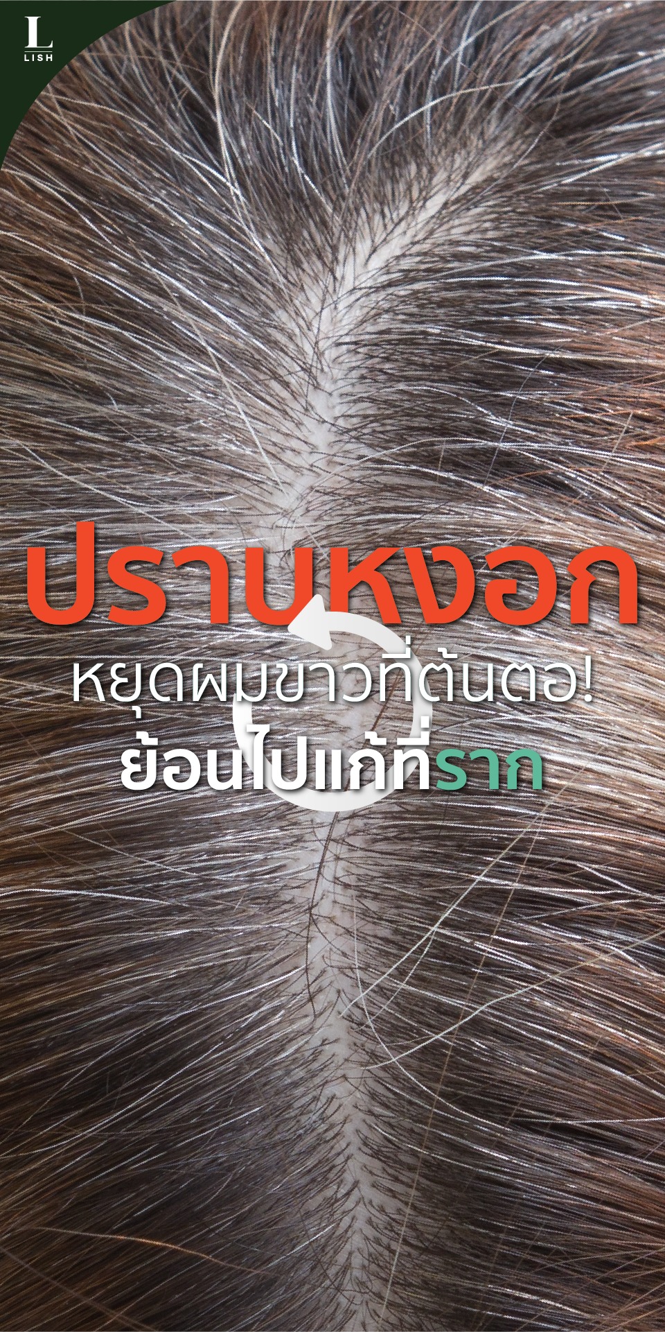 LISH Thailand Official Facebook ad