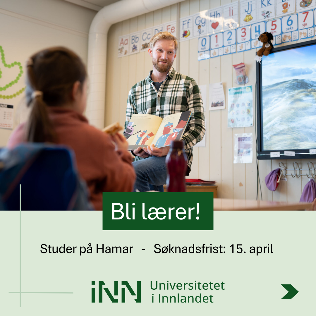 Universitetet i Innlandet Facebook ad