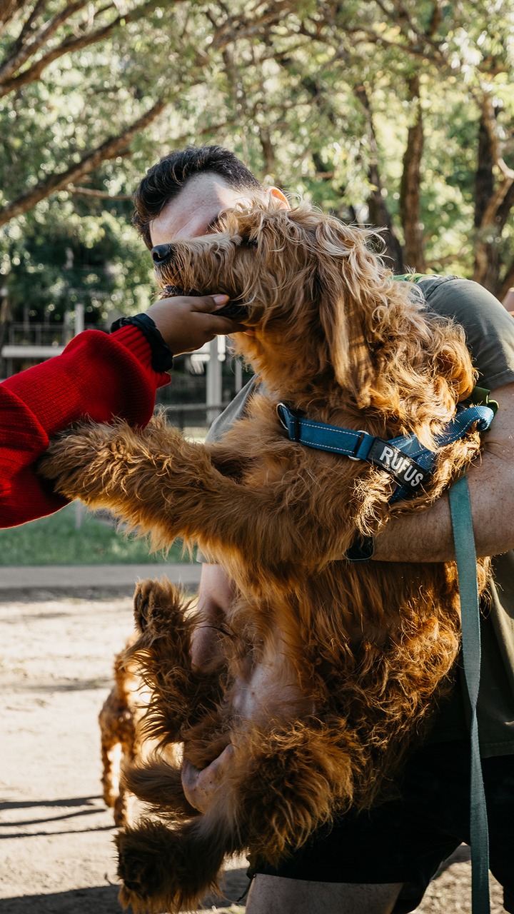 Frontier Pets Pet Food Facebook ad from Mar 18, 2026
