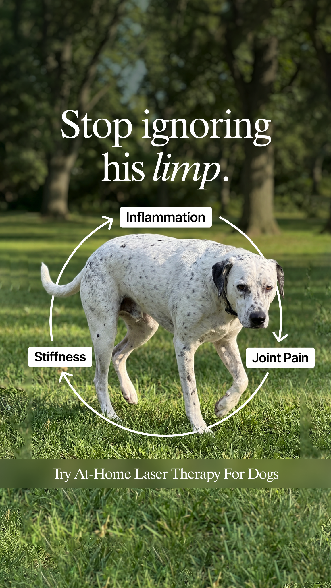 Helio Pet Facebook ad