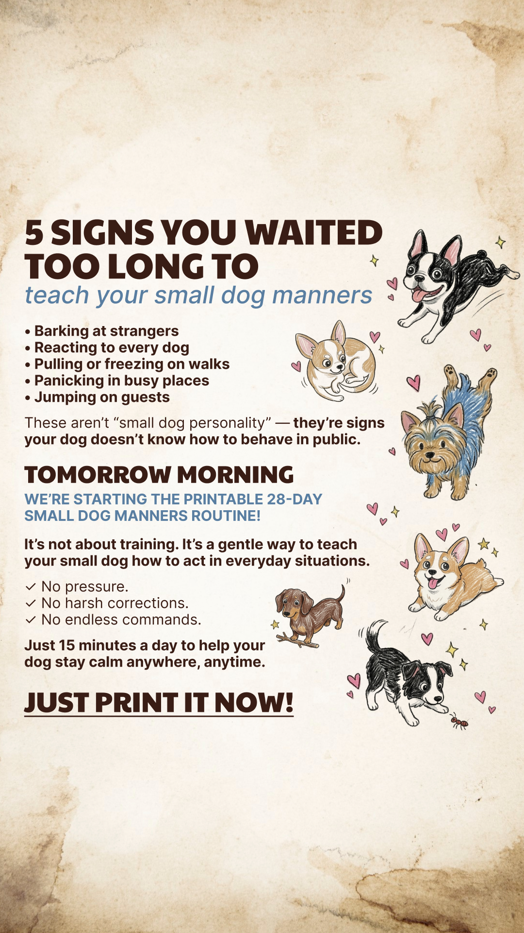 Lionel Carter Facebook ad: Start Small Dog Manners Routine